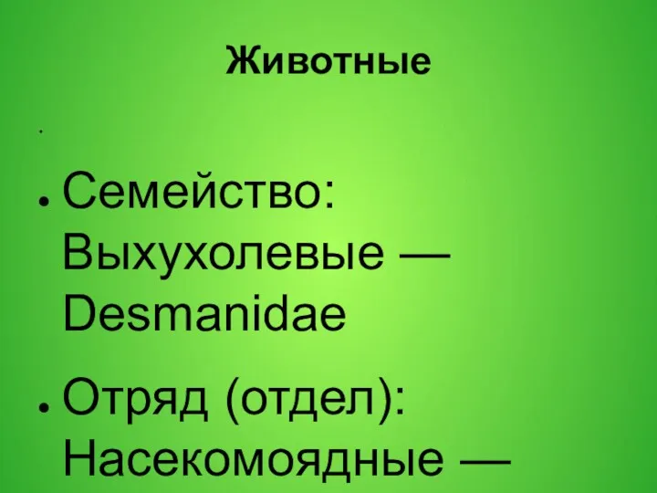 Животные Семейство: Выхухолевые — Desmanidae Отряд (отдел): Насекомоядные — Insectivora