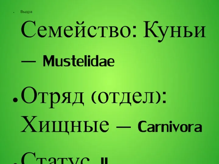 Выдра Семейство: Куньи — Mustelidae Отряд (отдел): Хищные — Carnivora