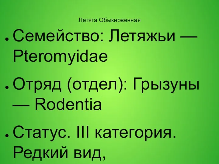 Летяга Обыкновенная Семейство: Летяжьи — Pteromyidae Отряд (отдел): Грызуны —