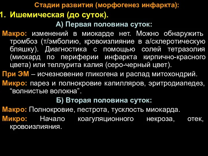 Стадии развития (морфогенез инфаркта): Ишемическая (до суток). А) Первая половина