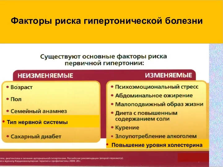 Тип нервной системы Факторы риска гипертонической болезни Повышение уровня холестерина