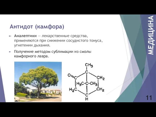 Антидот (камфора) Аналептики — лекарственные средства, применяются при снижении сосудистого