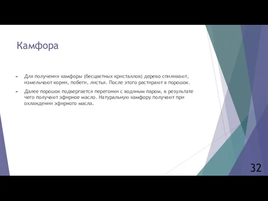 Камфора Для получения камфоры (бесцветных кристаллов) дерево спиливают, измельчают корни,