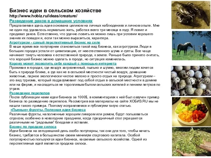 Бизнес идеи в сельском хозяйстве http://www.hobiz.ru/ideas/creature/ Разведение раков в домашних