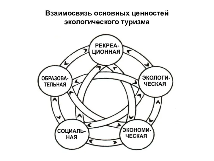 Взаимосвязь основных ценностей экологического туризма