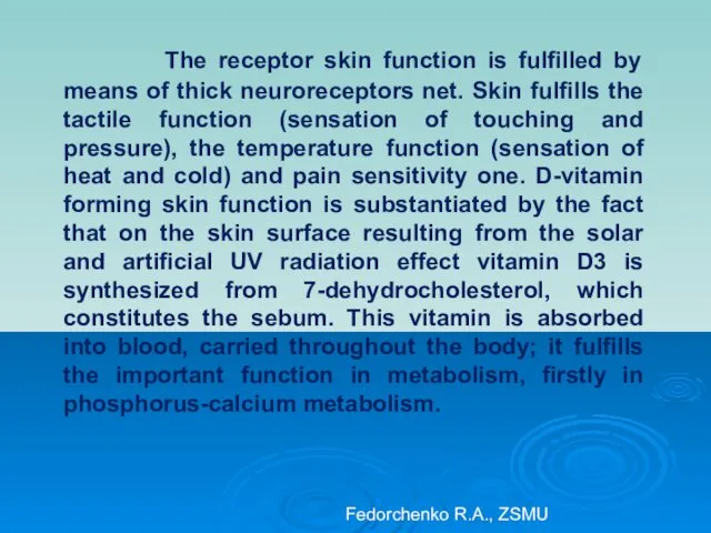 The receptor skin function is fulfilled by means of thick
