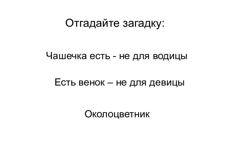 Отгадайте загадку: Чашечка есть - не для водицы Есть венок – не для девицы Околоцветник