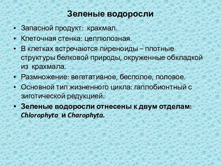 Зеленые водоросли Запасной продукт: крахмал. Клеточная стенка: целлюлозная. В клетках