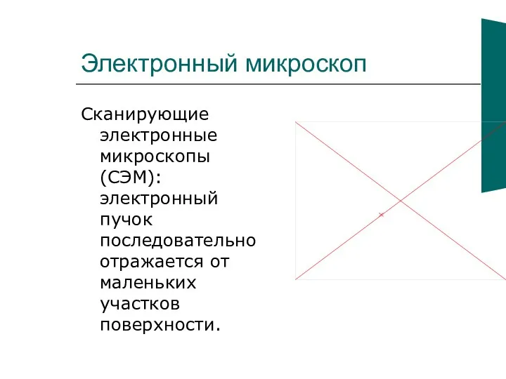 Электронный микроскоп Сканирующие электронные микроскопы (СЭМ): электронный пучок последовательно отражается от маленьких участков поверхности.