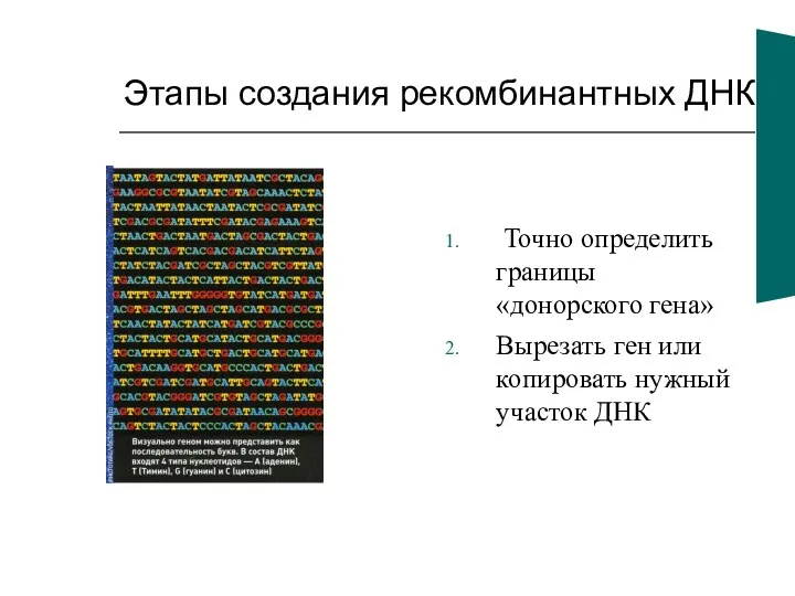 Этапы создания рекомбинантных ДНК Точно определить границы «донорского гена» Вырезать ген или копировать нужный участок ДНК