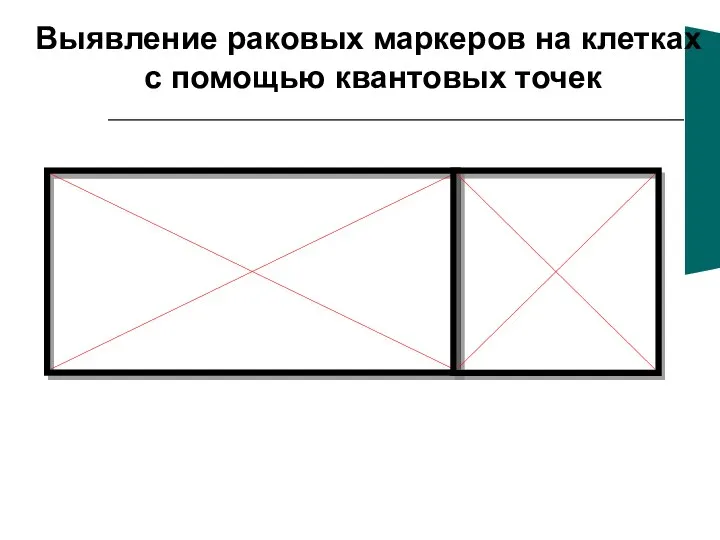 Выявление раковых маркеров на клетках с помощью квантовых точек