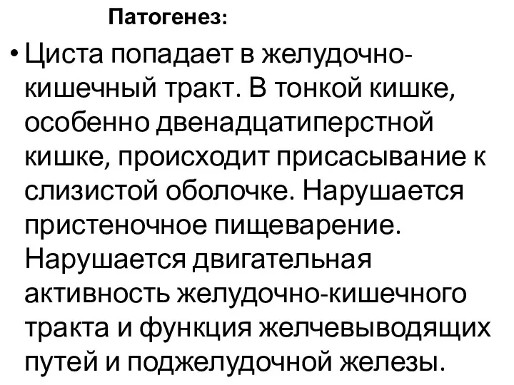 Патогенез: Циста попадает в желудочно-кишечный тракт. В тонкой кишке, особенно