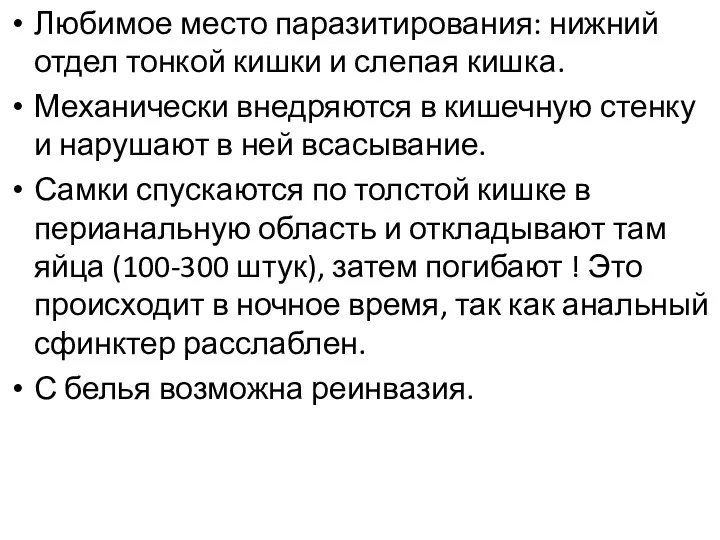 Любимое место паразитирования: нижний отдел тонкой кишки и слепая кишка.