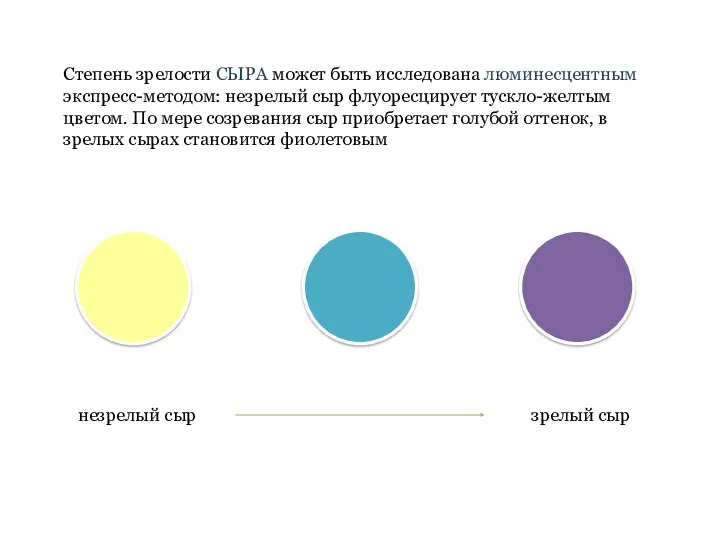 Степень зрелости СЫРА может быть исследована люминесцентным экспресс-методом: незрелый сыр