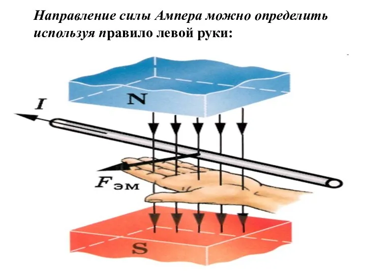 Направление силы Ампера можно определить используя правило левой руки: