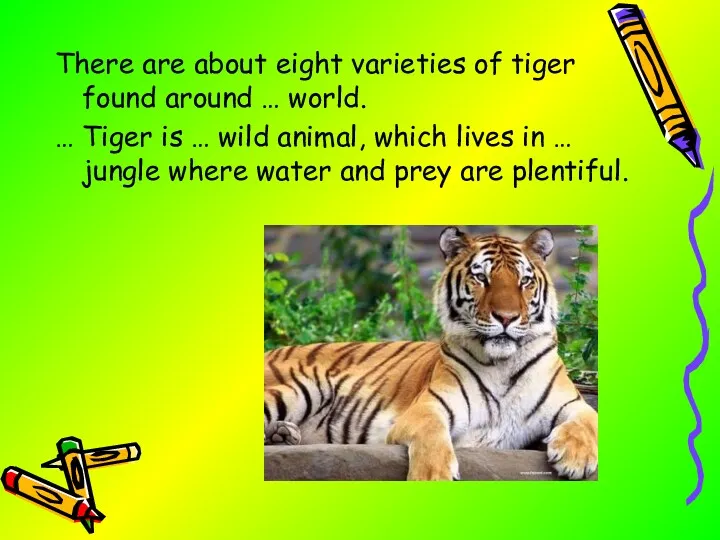 There are about eight varieties of tiger found around …