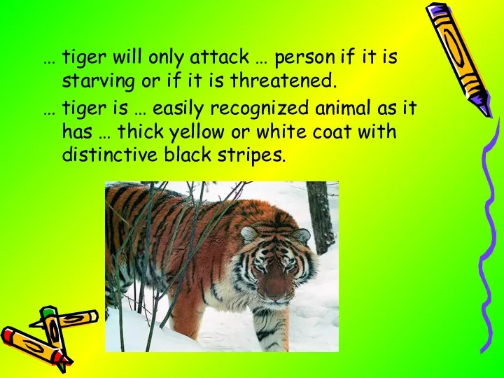 … tiger will only attack … person if it is