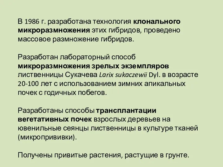 В 1986 г. разработана технология клонального микроразмножения этих гибридов, проведено