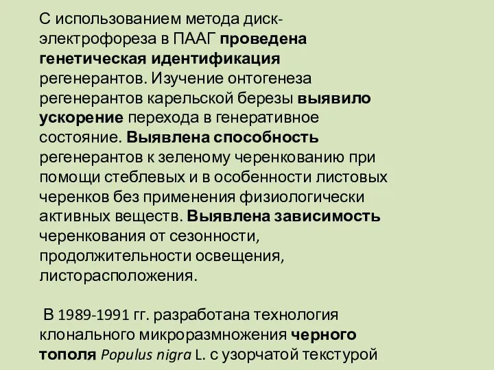 С использованием метода диск-электрофореза в ПААГ проведена генетическая идентификация регенерантов.