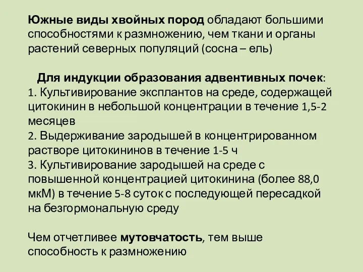 Южные виды хвойных пород обладают большими способностями к размножению, чем