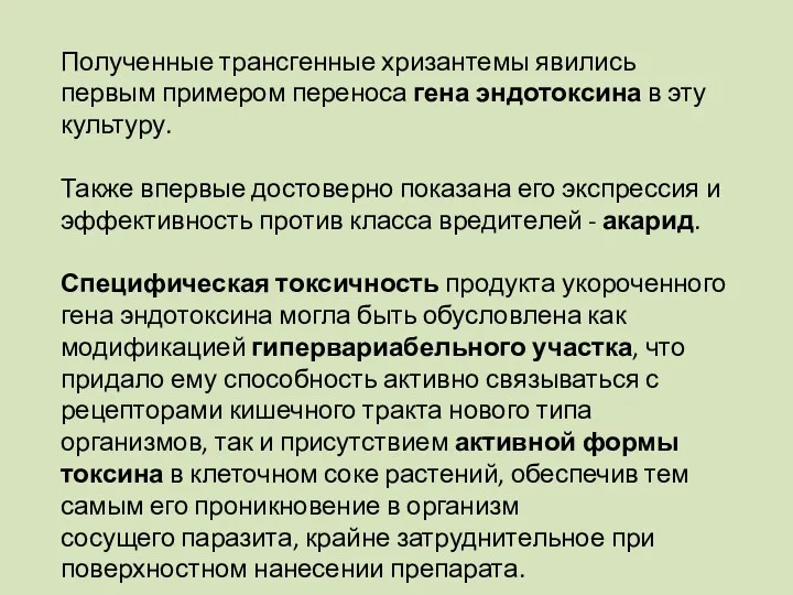 Полученные трансгенные хризантемы явились первым примером переноса гена эндотоксина в