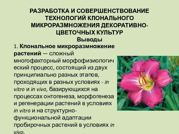 РАЗРАБОТКА И СОВЕРШЕНСТВОВАНИЕ ТЕХНОЛОГИЙ КЛОНАЛЬНОГО МИКРОРАЗМНОЖЕНИЯ ДЕКОРАТИВНО- ЦВЕТОЧНЫХ КУЛЬТУР Выводы