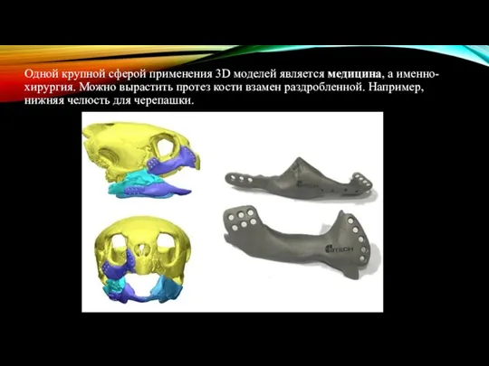 Одной крупной сферой применения 3D моделей является медицина, а именно-