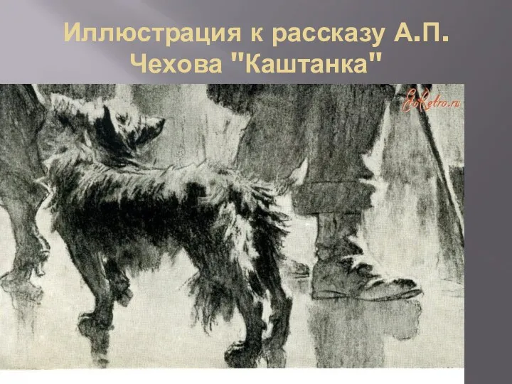 Иллюстрация к рассказу А.П. Чехова "Каштанка"