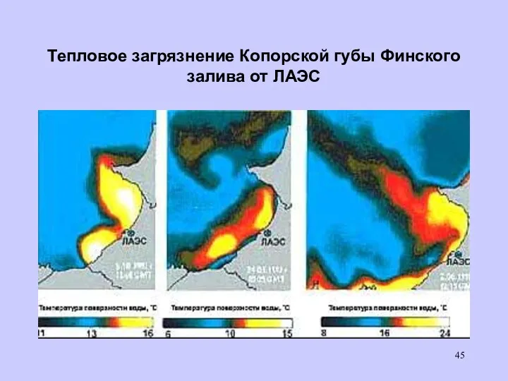 Тепловое загрязнение Копорской губы Финского залива от ЛАЭС