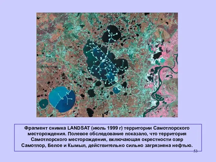 Фрагмент снимка LANDSAT (июль 1999 г) территории Самотлорского месторождения. Полевое