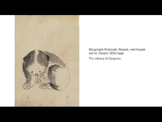 Кацусика Хокусай. Кошка, чистящая когти. Около 1850 года The Library of Congress