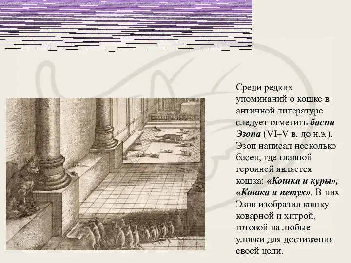 Cреди редких упоминаний о кошке в античной литературе следует отметить