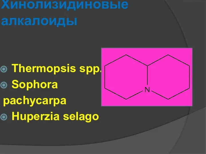 Хинолизидиновые алкалоиды Thermopsis spp. Sophora рachycarpa Huperzia selago
