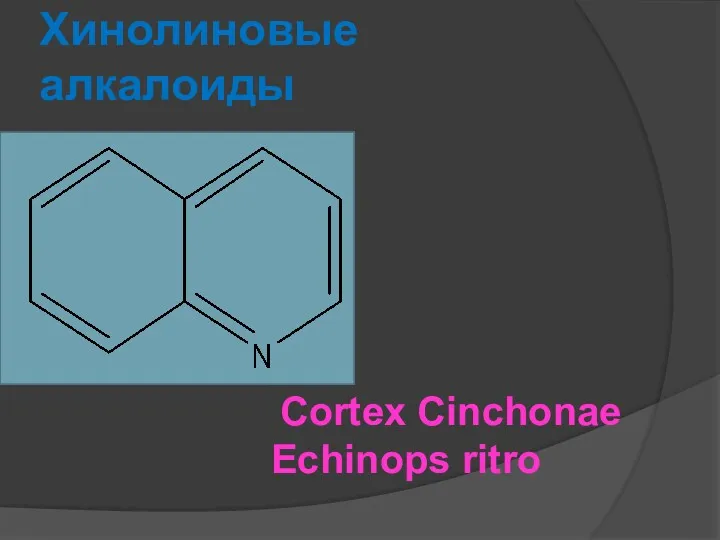 Хинолиновые алкалоиды Cortex Cinchonae Echinops ritro