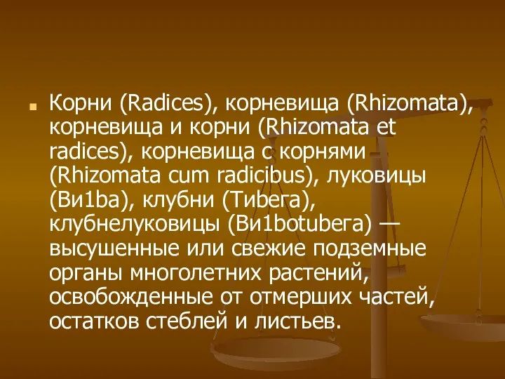 Корни (Radices), корневища (Rhizomata), корневища и корни (Rhizomata et radices),