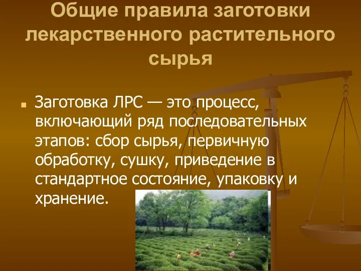 Общие правила заготовки лекарственного растительного сырья Заготовка ЛРС — это