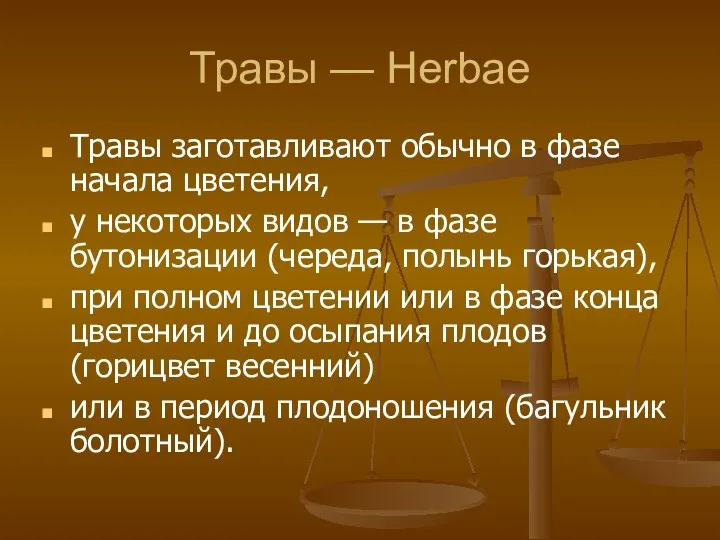 Травы — Herbae Травы заготавливают обычно в фазе начала цветения,