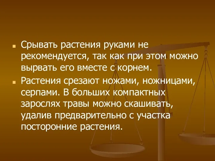 Срывать растения руками не рекомендуется, так как при этом можно