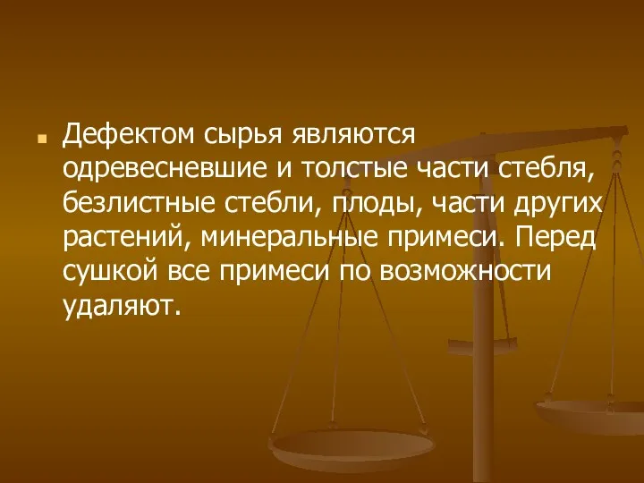 Дефектом сырья являются одревесневшие и толстые части стебля, безлистные стебли,