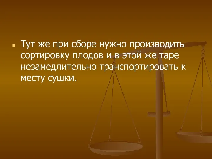 Тут же при сборе нужно производить сортировку плодов и в