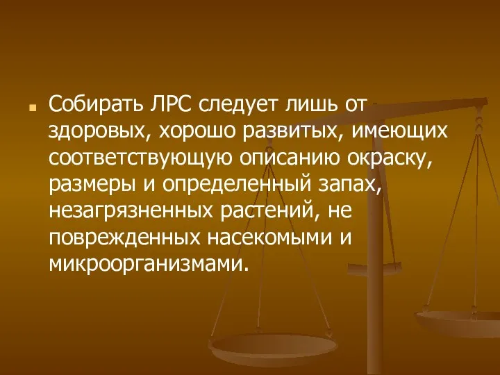 Собирать ЛРС следует лишь от здоровых, хорошо развитых, имеющих соответствующую