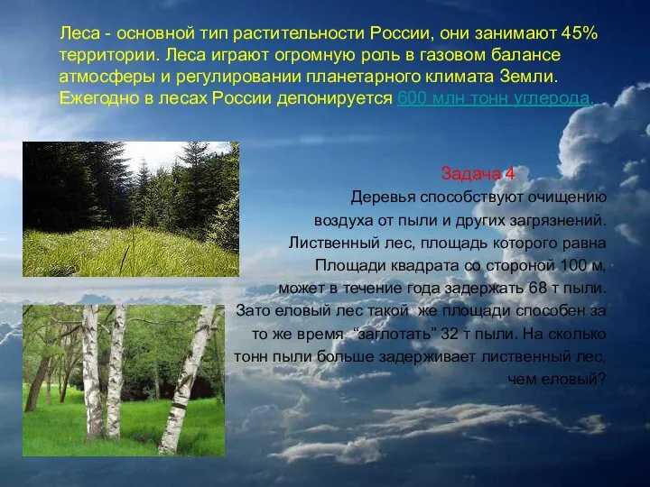 Леса - основной тип растительности России, они занимают 45% территории.