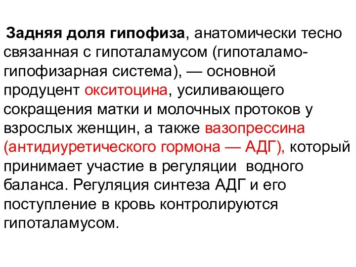 Задняя доля гипофиза, анатомически тесно связанная с гипоталамусом (гипоталамо-гипофизарная система),