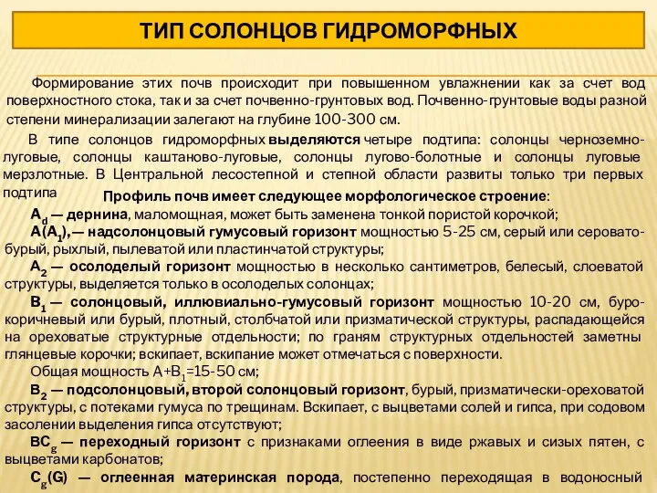 ТИП СОЛОНЦОВ ГИДРОМОРФНЫХ Формирование этих почв происходит при повышенном увлажнении