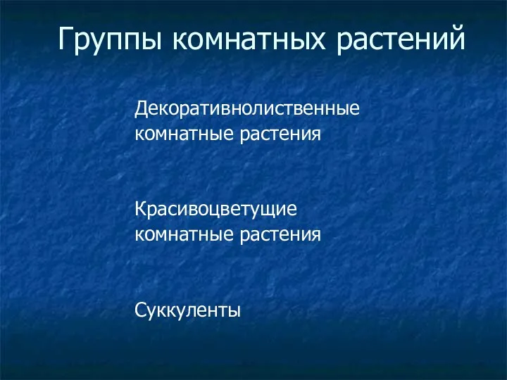 Группы комнатных растений Декоративнолиственные комнатные растения Красивоцветущие комнатные растения Суккуленты