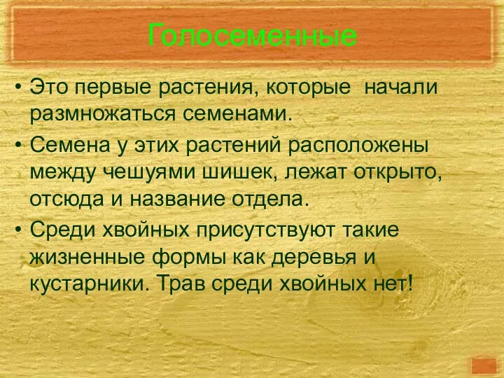 Голосеменные Это первые растения, которые начали размножаться семенами. Семена у