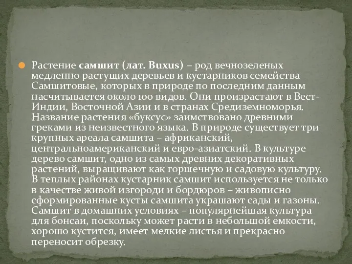 Растение самшит (лат. Buxus) – род вечнозеленых медленно растущих деревьев