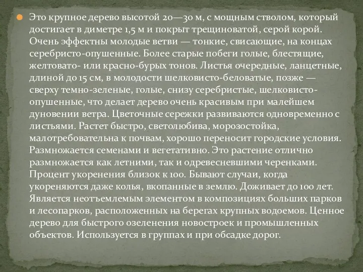 Это крупное дерево высотой 20—30 м, с мощным стволом, который