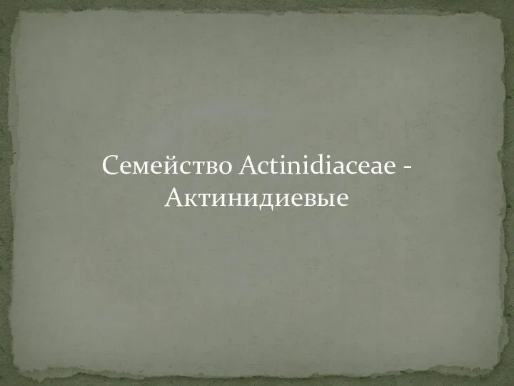 Семейство Actinidiaceae - Актинидиевые