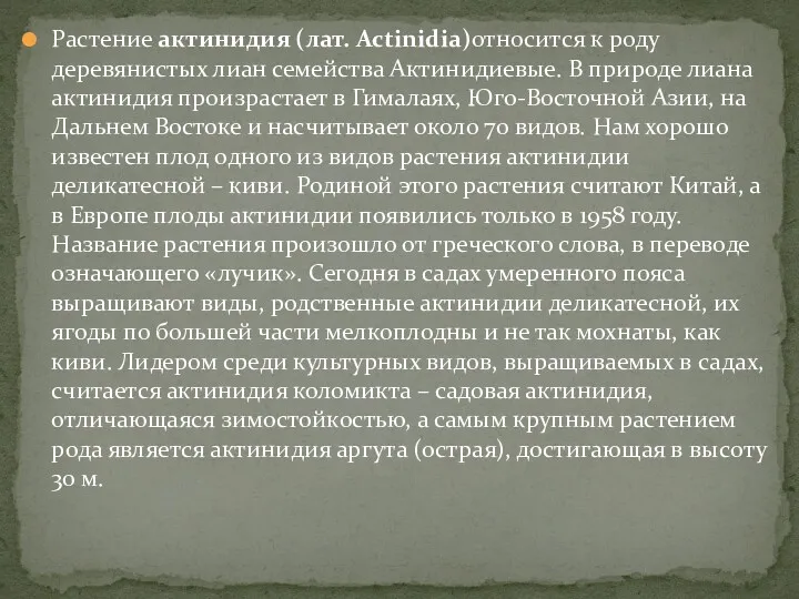 Растение актинидия (лат. Actinidia)относится к роду деревянистых лиан семейства Актинидиевые.